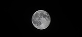 Enlarge photo 109