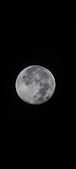 Enlarge photo 108