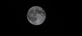 Enlarge photo 107