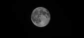 Enlarge photo 106