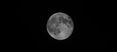 Enlarge photo 105