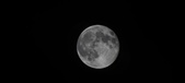 Enlarge photo 104