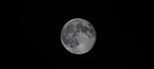 Enlarge photo 103