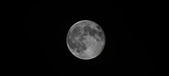 Enlarge photo 102