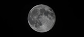 Enlarge photo 99