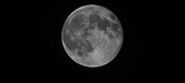 Enlarge photo 98
