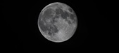 Enlarge photo 97