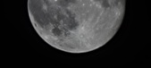 Enlarge photo 96