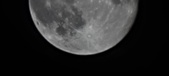 Enlarge photo 95