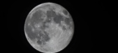 Enlarge photo 91