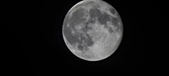 Enlarge photo 90