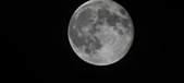 Enlarge photo 89