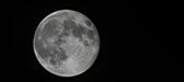 Enlarge photo 88