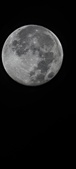 Enlarge photo 85