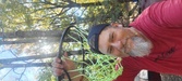 Enlarge photo 176