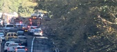 Enlarge photo 50