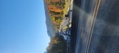 Enlarge photo 49