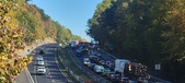 Enlarge photo 35