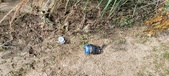 Enlarge photo 355