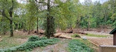 Enlarge photo 243