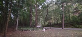 Enlarge photo 235