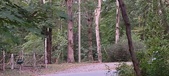Enlarge photo 233
