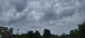 Enlarge photo 273