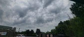Enlarge photo 272