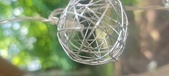 Enlarge photo 264