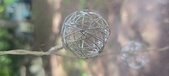 Enlarge photo 266