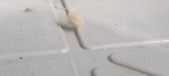 Enlarge photo 249