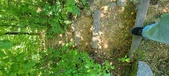 Enlarge photo 231