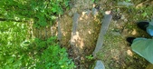 Enlarge photo 232