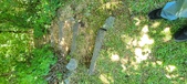 Enlarge photo 235