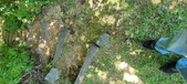 Enlarge photo 229