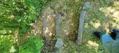Enlarge photo 230