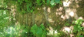 Enlarge photo 228