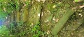 Enlarge photo 227