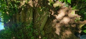 Enlarge photo 226