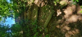 Enlarge photo 225