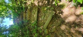Enlarge photo 221