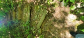 Enlarge photo 223