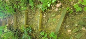 Enlarge photo 224