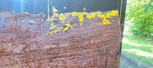 Enlarge photo 220