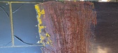 Enlarge photo 218