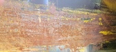 Enlarge photo 216