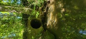 Enlarge photo 200