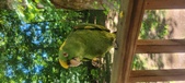 Enlarge photo 185