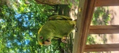 Enlarge photo 184