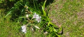 Enlarge photo 183